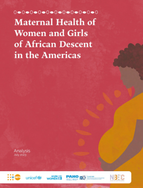 Análise da Saúde Materna de Mulheres e Meninas afrodescendentes nas Américas 