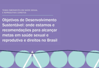 O estudo mostra o panorama da situação do Brasil diante das metas da Agenda 2030 relacionadas à saúde sexual e reprodutiva