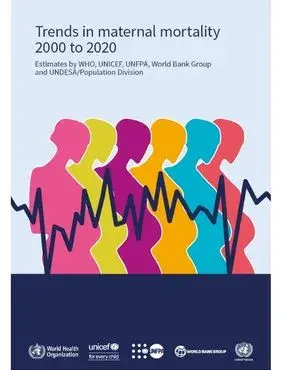 Trends in maternal mortality 2000 to 2020