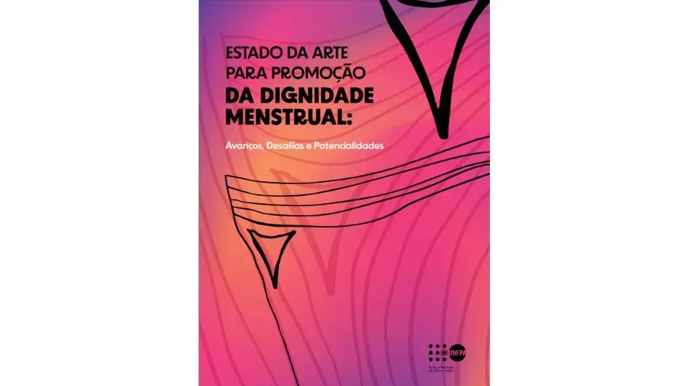 ESTADO DA ARTE PARA PROMOÇÃO DA DIGNIDADE MENSTRUAL: Avanços, Desafios e Potencialidades